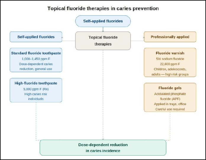 Showing topical fluoride therapies in caries prevention